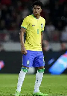 切尔西新星桑托斯：新帅引领信心提升，队友共筑辉煌未来